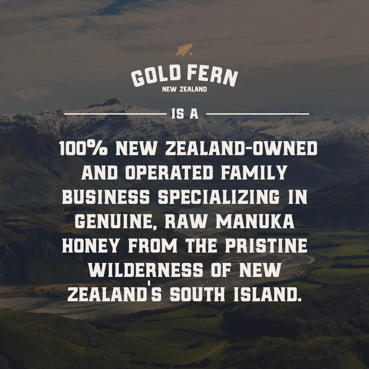 Gold Fern Honey on yogurt and oats for breakfast.