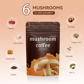 Golden Field Mushroom Coffee featuring Reishi for a creamy, comforting cup
