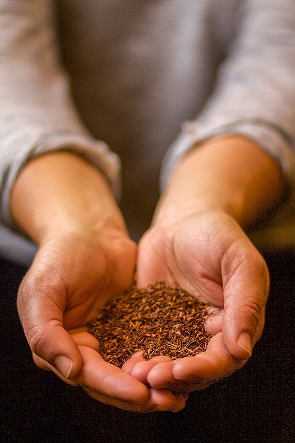 Golden Moon Rooibos organic seal signals purity and ethical sourcing