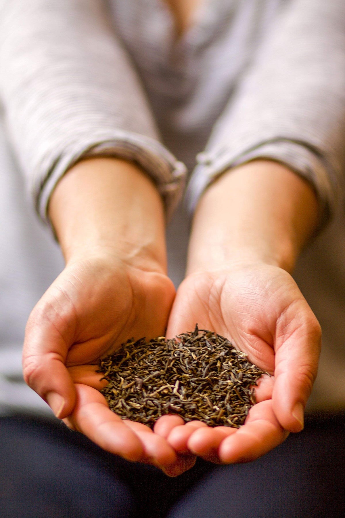 Golden Moon Tea 96 servings tin suggesting long-lasting jasmine flavor