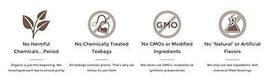 Golden Moon Tea bagless brewing avoids plastic during steeping.