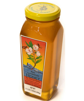 Golden Nectar Leatherwood honey drizzle captured mid-pour for toast or yogurt