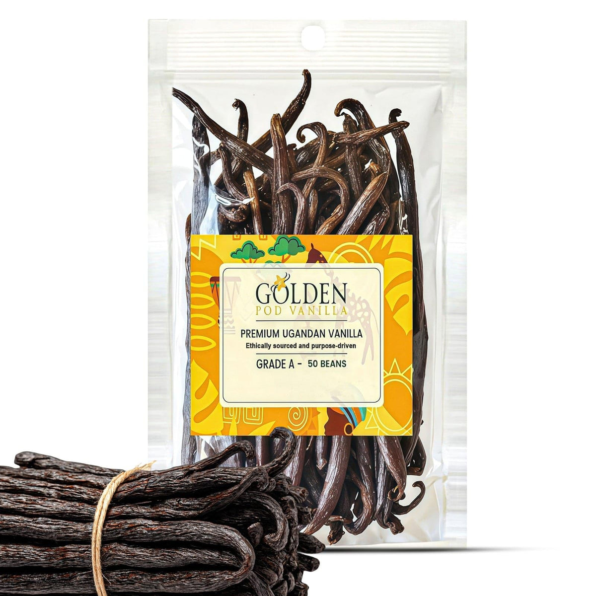 Golden Pod Vanilla Beans bulk pack ideal for rich vanilla extract and baking