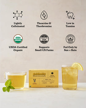 Hot brew of Goldholly yaupon tea reveals bright, refreshing notes