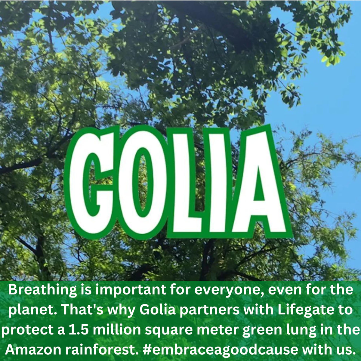 Golia gluten-free and sugar-free label on pack.