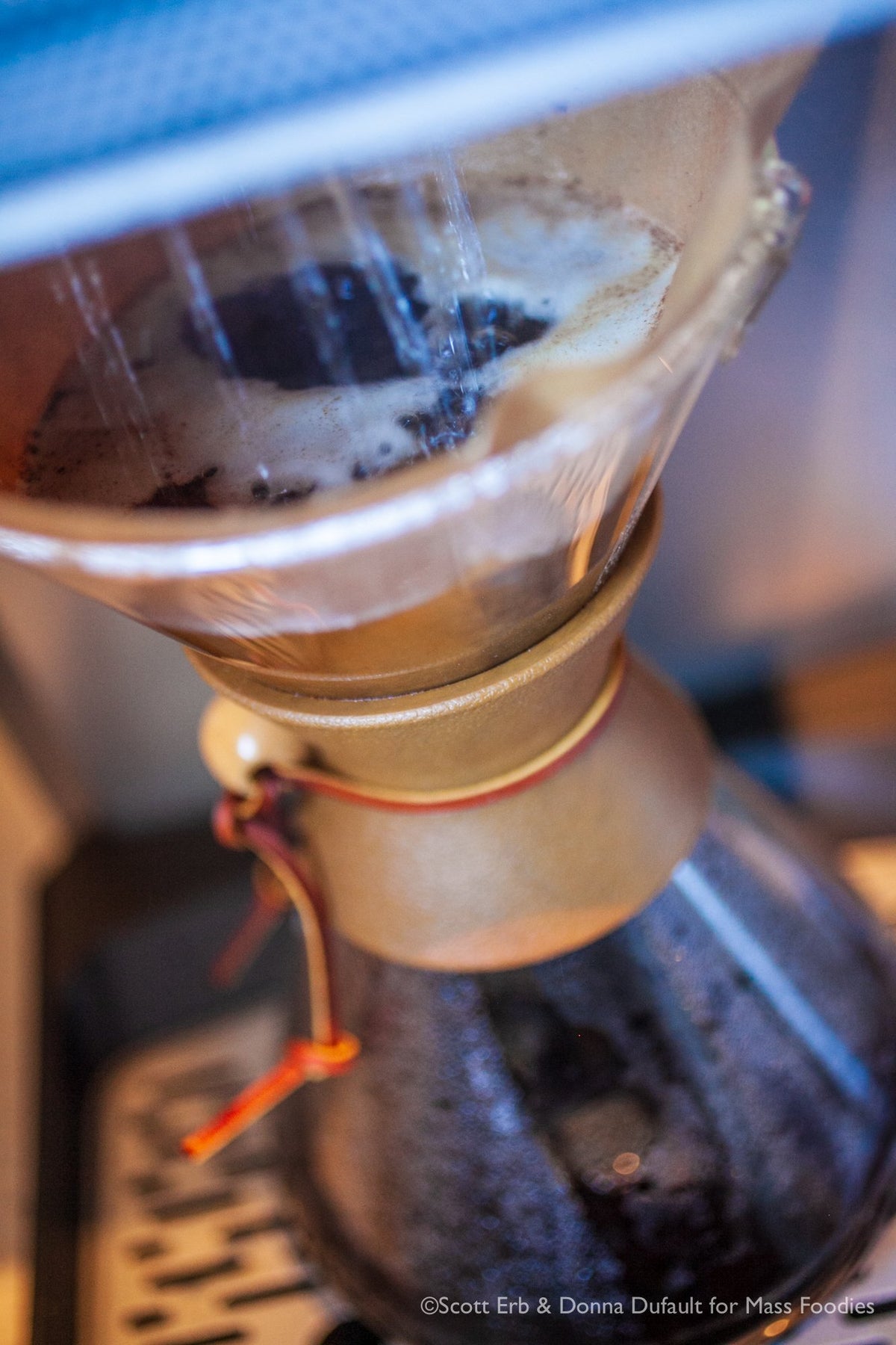 Good As Gold Tanzania Peaberry beans roast closeup showing consistency