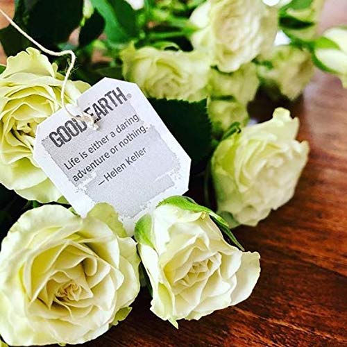 Loose peppermint blend and herbs in Good Earth Tea Co. teabag mix