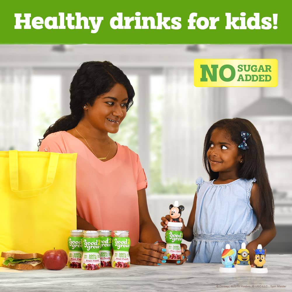24-pack box keeps juice ready for lunches, trips, and busy afternoons.