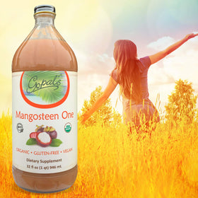 Gopal's Mangosteen One closeup label highlights xanthones and antioxidant-rich profile.