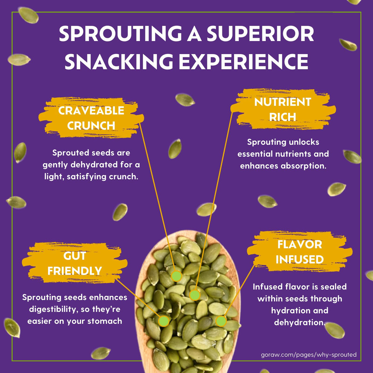 Close-up of Go Raw sprouted sunflower seeds highlighting nutrient-dense snack