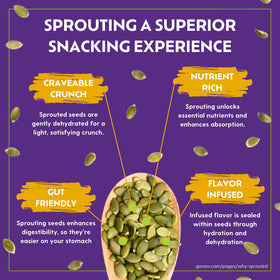 Close-up of Go Raw sprouted sunflower seeds highlighting nutrient-dense snack