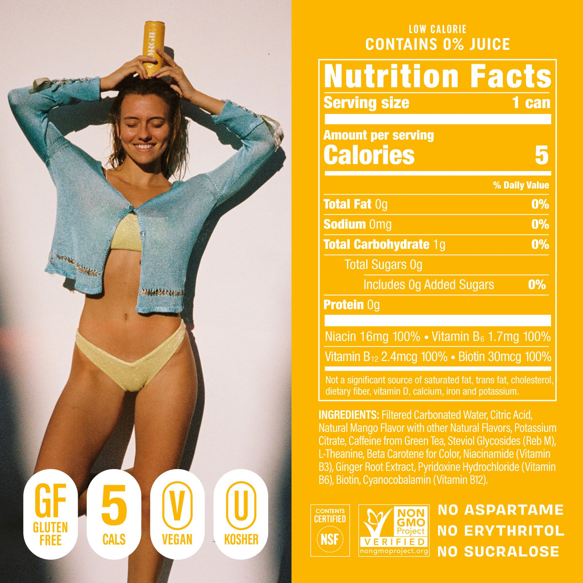 GORGIE 12-pack front pack shot showcases convenient everyday healthy energy option.