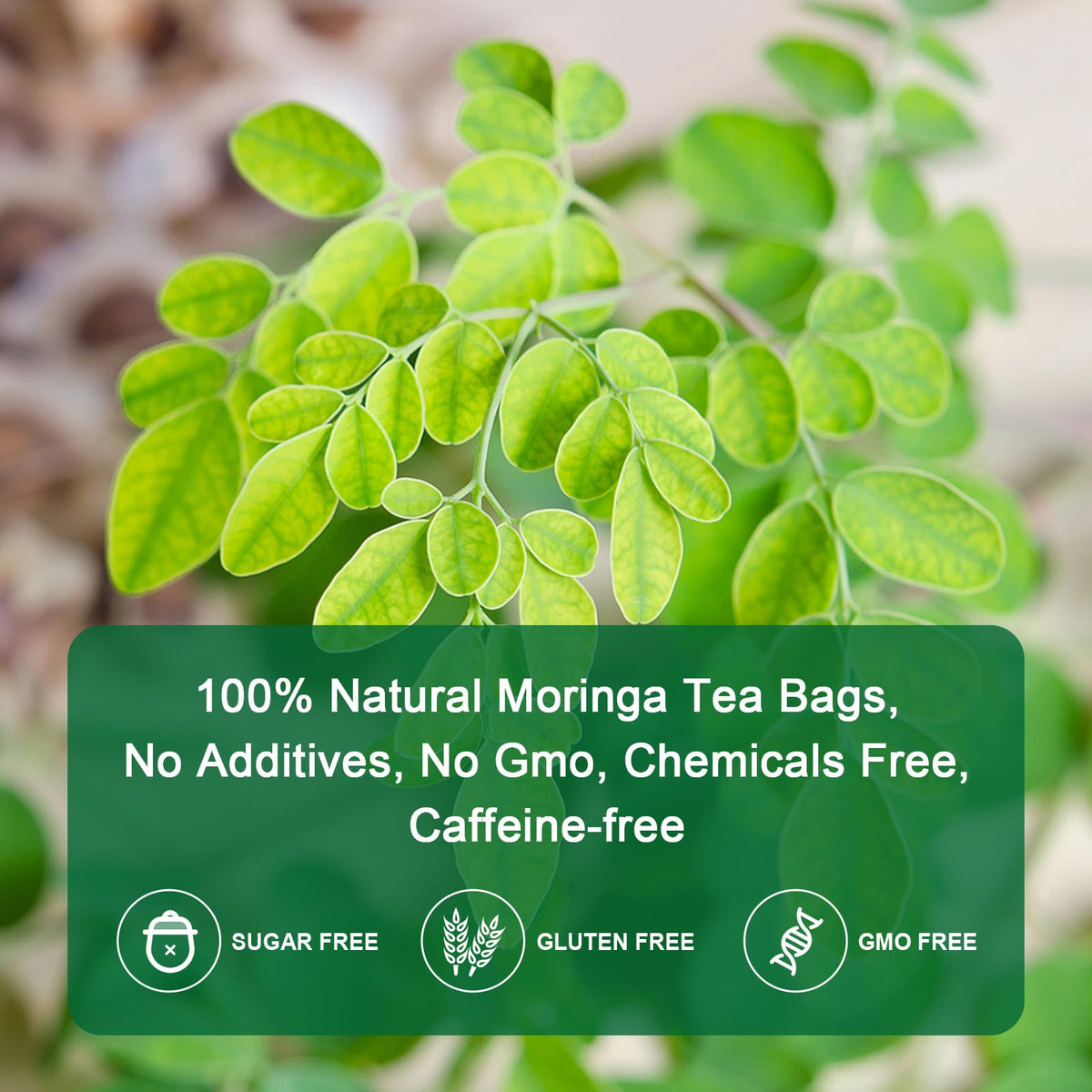 GORNVB Moringa tea steeping water releasing aroma and flavor