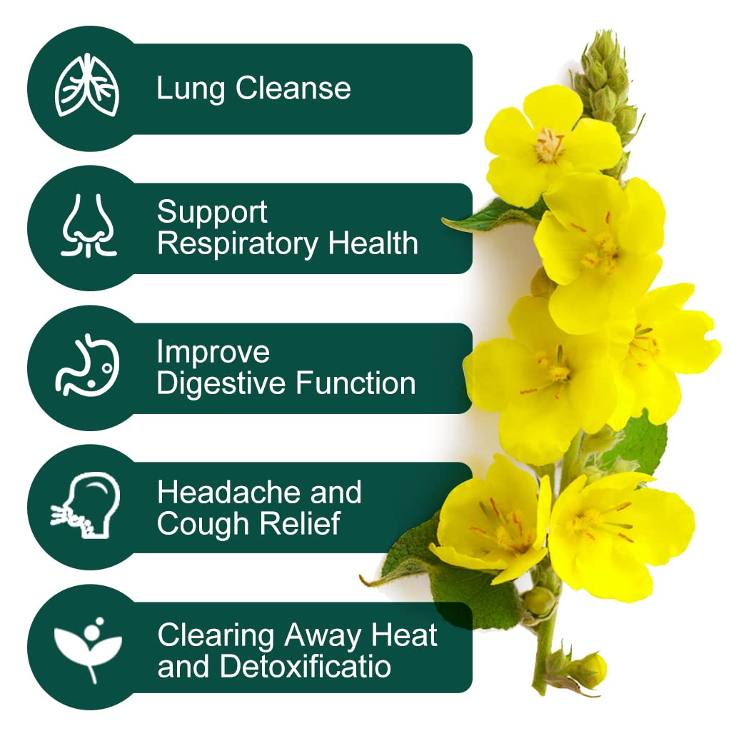 GORNVB Wild mullein leaves bundle highlighting raw botanicals and traditional harvesting