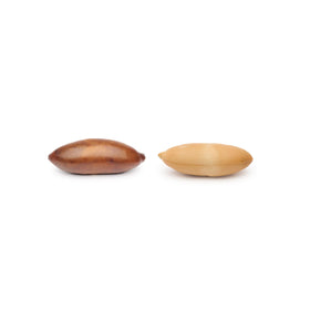 Gourmanity Baru Nuts packaging from Cerrado origin, sustainably sourced.