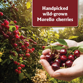 Gourmanity Brandied Cherries beside black forest gateau add depth and texture.