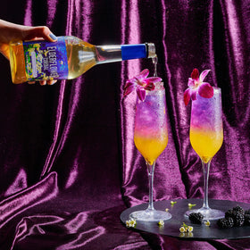 Cocktail setup featuring Gourmanity elderflower cordial