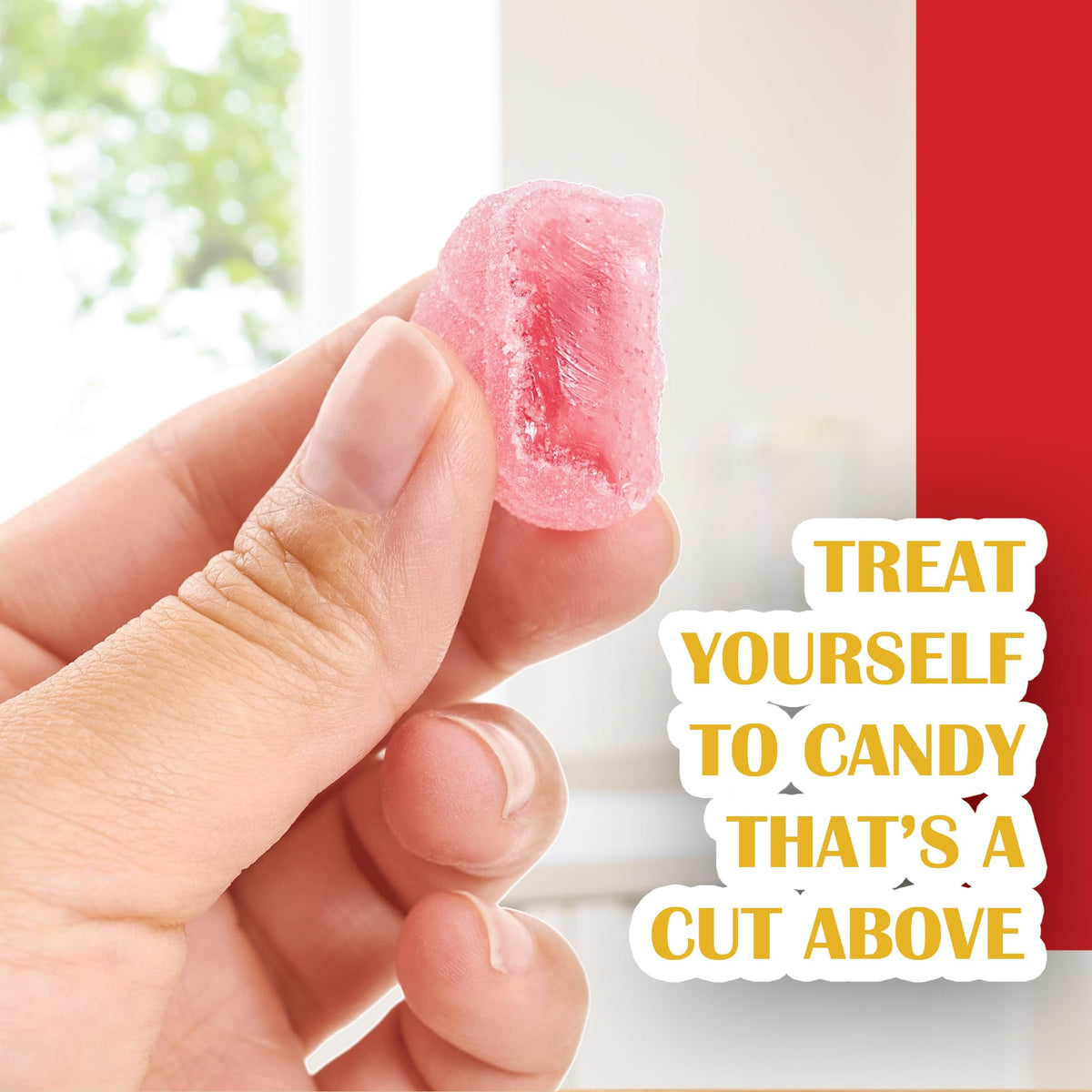 Gourmanity individually wrapped candies ensure convenient sharing.