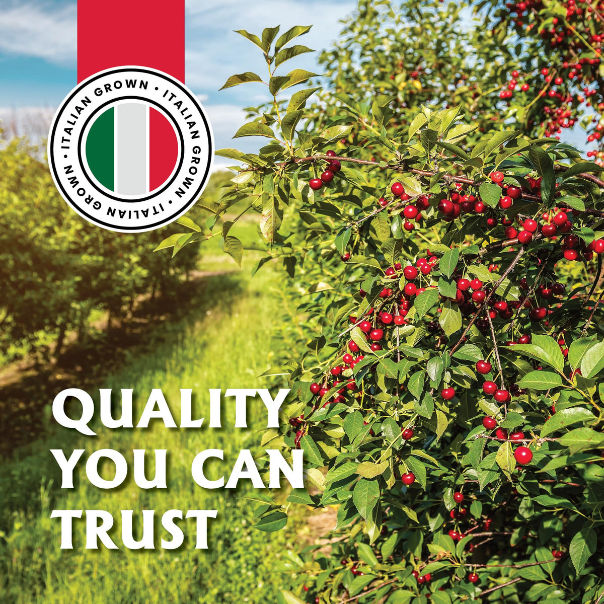 Gourmanity label highlights kosher certification and gluten-free ingredients.