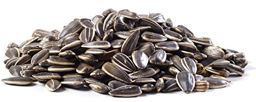 Tambovsky Volk XXL roasted sunflower seeds back view; four-pack for sharing