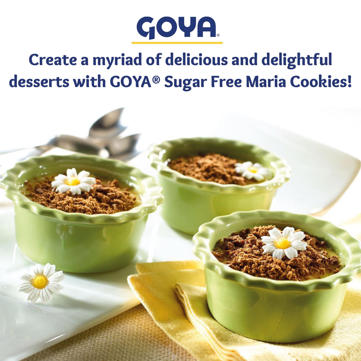 Goya Sugar Free Maria Cookies chocolate thin crisp for work breaks.