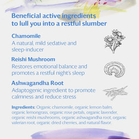 Grace Farms REST Wellness sachets closeup emphasizes caffeine-free, soothing aromas.