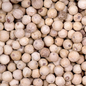 GranAroma white peppercorns pouring from a shaker for easy seasoning.