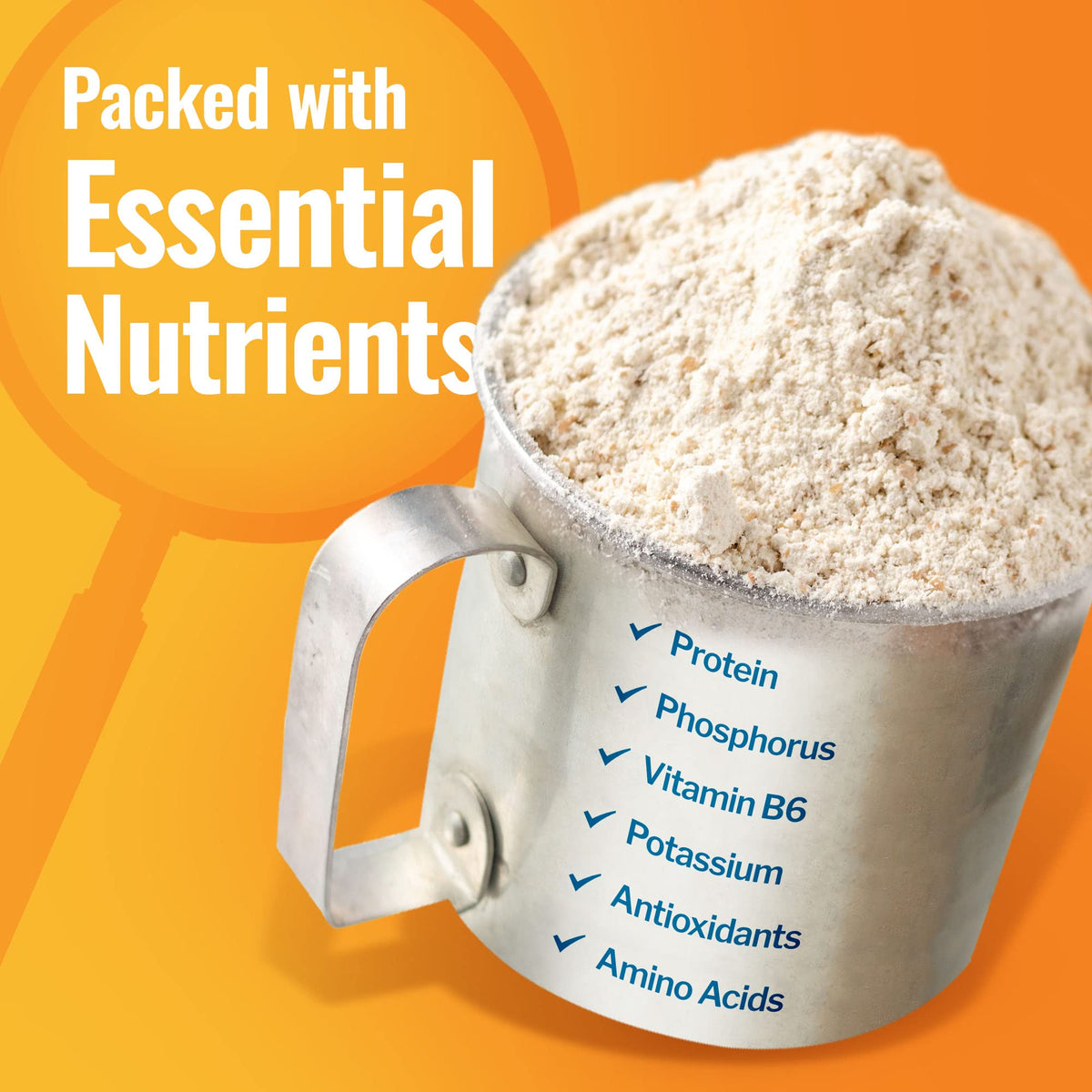 Grand Teton einkorn flour in mixing bowl, ready to bake bread or pastries.