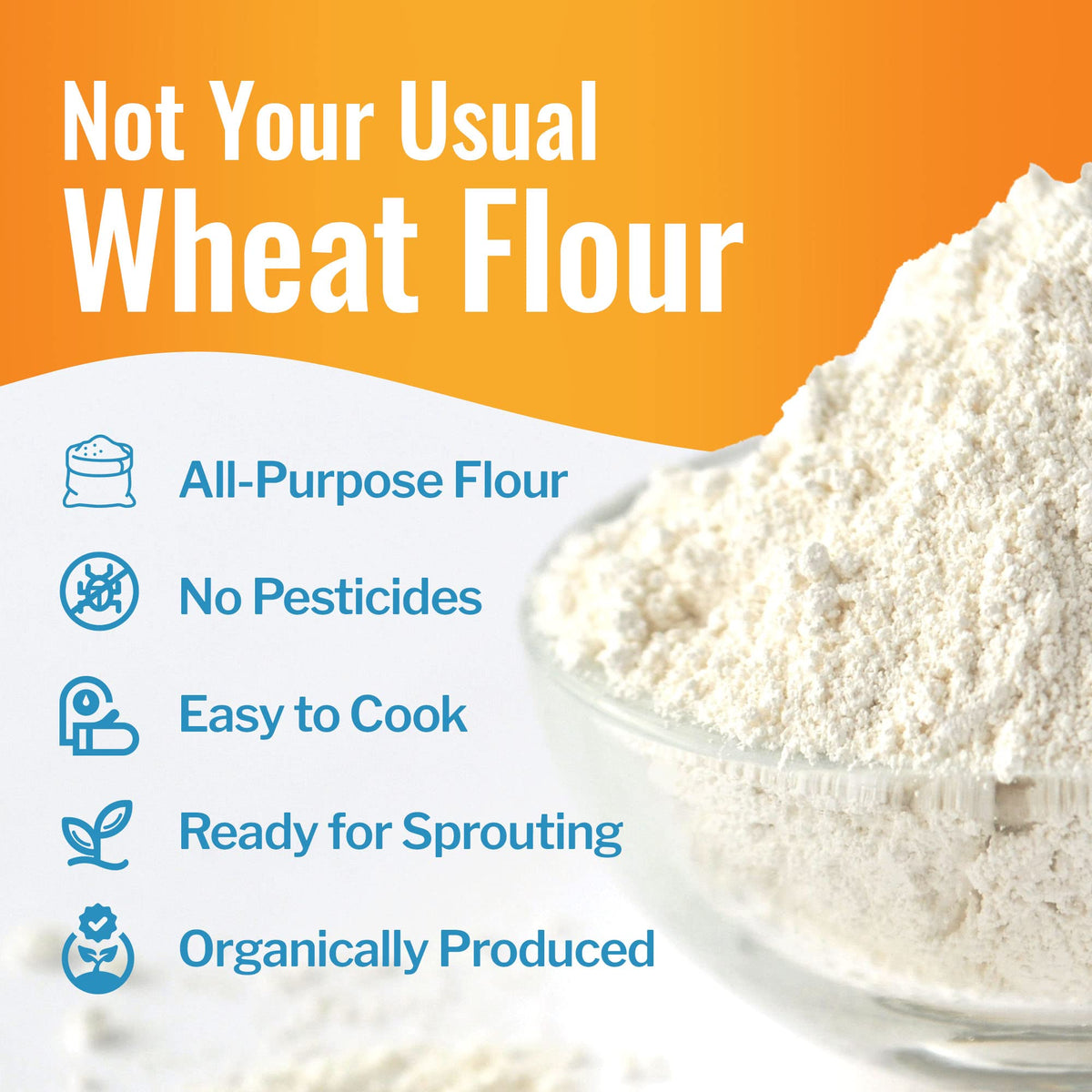 Grand Teton einkorn flour pizza crust showing nutty flavor and soft texture.