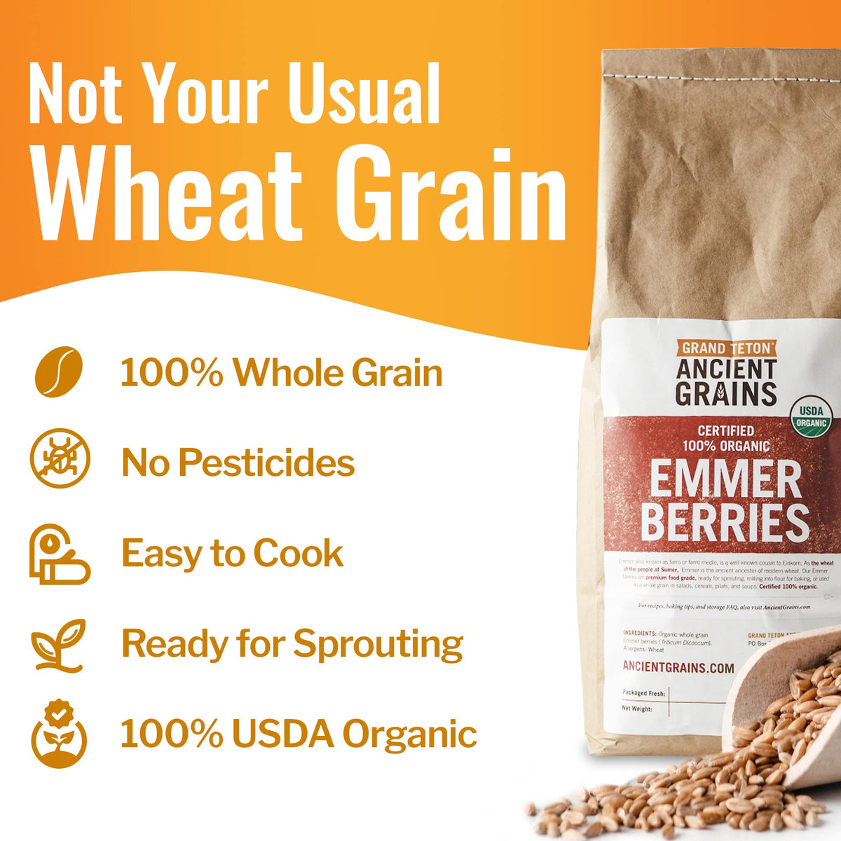 Grand Teton Emmer Wheat Berries in salads – hearty texture for meals.