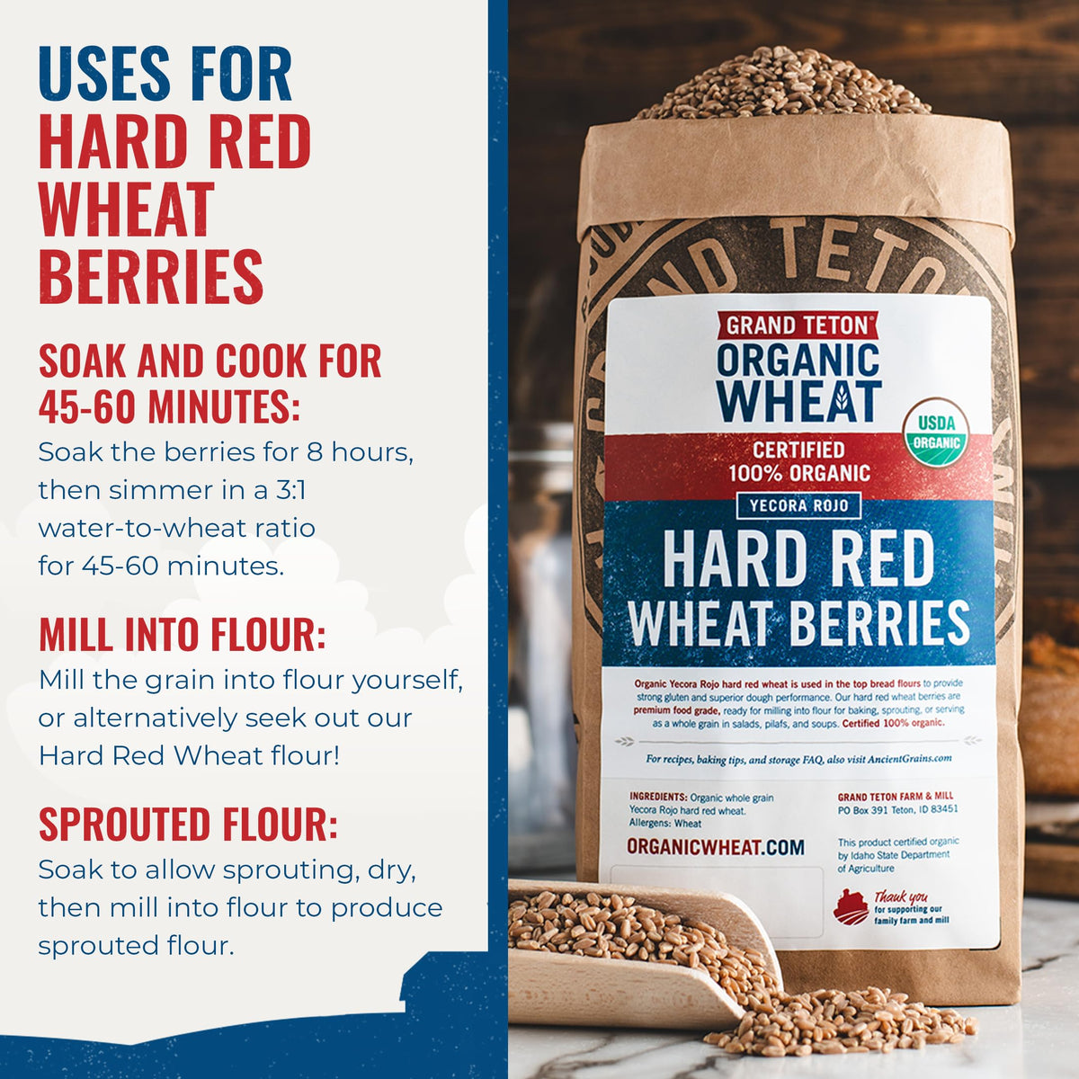 Grand Teton Yecora Rojo wheat berries for baking bread and chewy pizza crusts