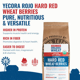 Grand Teton Yecora Rojo wheat berries bulk bag for pantry cooking