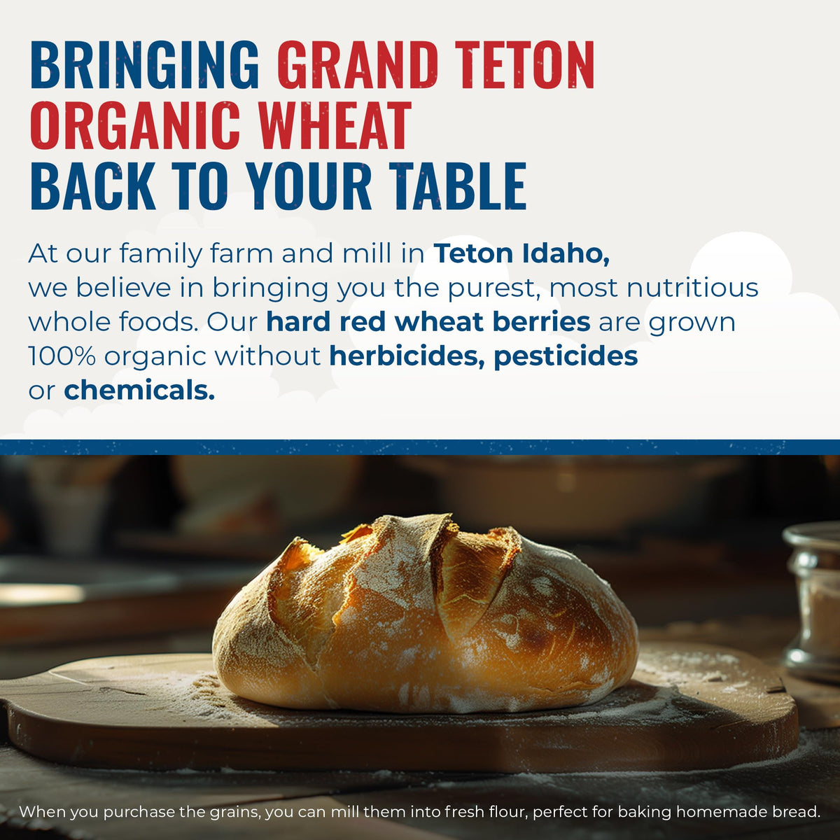 Grand Teton Yecora Rojo wheat berries sourced farm-to-table