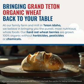 Grand Teton Yecora Rojo wheat berries sourced farm-to-table