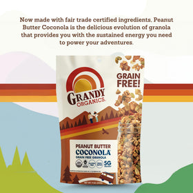 Grandy Organics Coconola peanut butter in a bowl ready for snacking