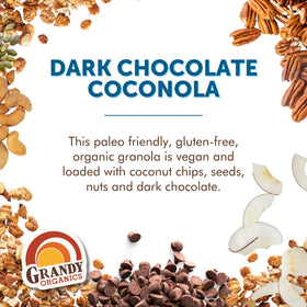 Grandy Organics Coconola Textured Crunch close-up as yogurt topping