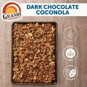 Grandy Organics Dark Chocolate Coconola close-up of mixed nuts and seeds