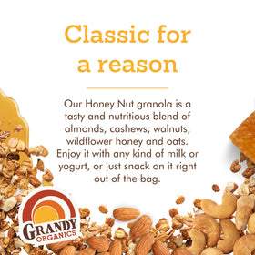 Grandy Organics Honey Nut Gluten Free Granola with yogurt, breakfast or snack topping idea