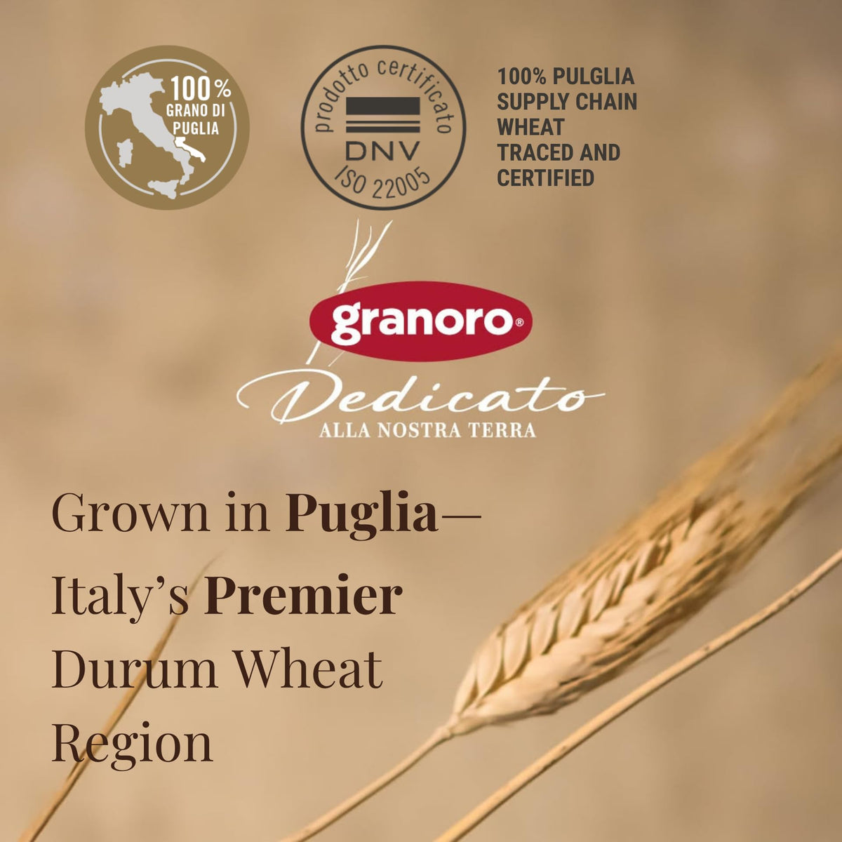 Granoro Dedicato Spaghettoni #110 plated with sauce ready to enjoy.