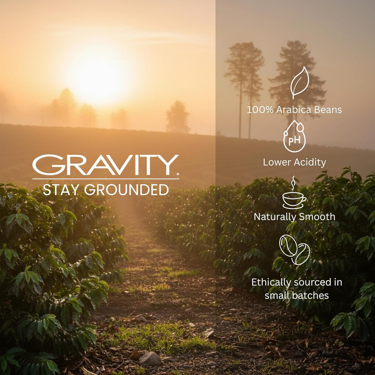 Measuring spoon beside Gravity Coffee bag suggesting precise portions for a smoother cup