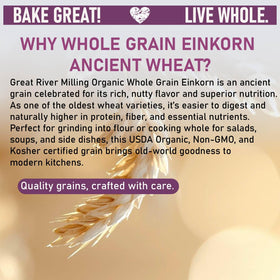 Great River Milling einkorn wheat berries in a bowl ideal for milling or cooking