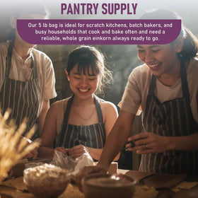 Great River Milling einkorn wheat berries in a prepared dish illustrating versatile cooking possibilities