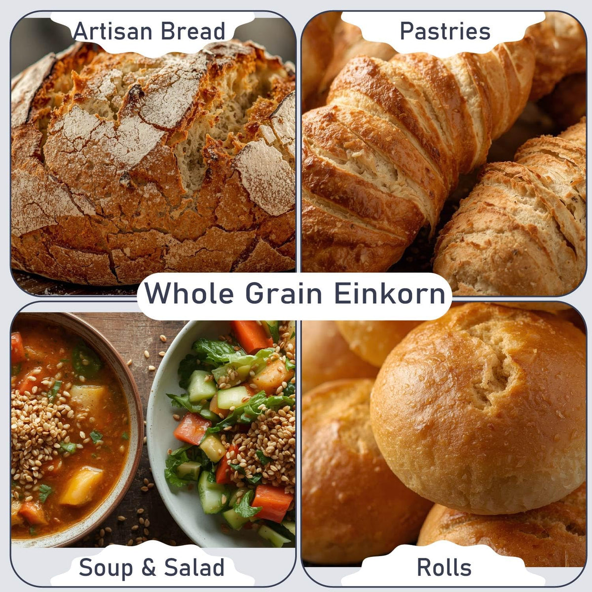 Great River Milling einkorn wheat berries sprouting with nutty flavor for fresh grains
