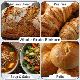 Great River Milling einkorn wheat berries sprouting with nutty flavor for fresh grains