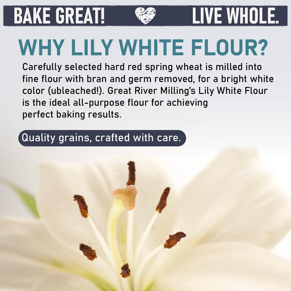 Great River Milling Lily White Flour being scooped for quick dough prep.