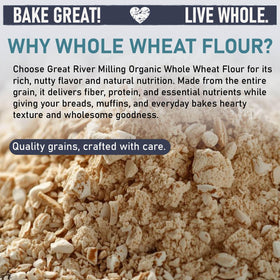 Great River Milling Organic Whole Wheat Flour dough ball demonstrating gluten structure for bread