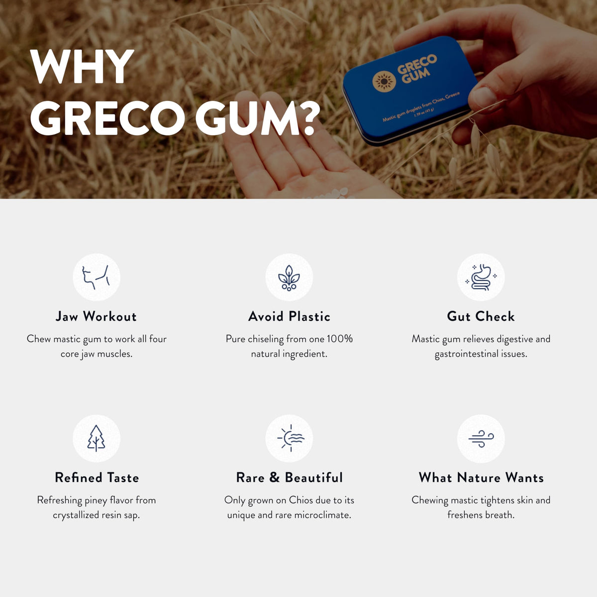 Greco Gum Mastic Droplets piney flavor enhances mindful chewing sessions.