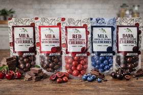 Green Jay Gourmet milk chocolate blueberries gift ready presentation for gifting