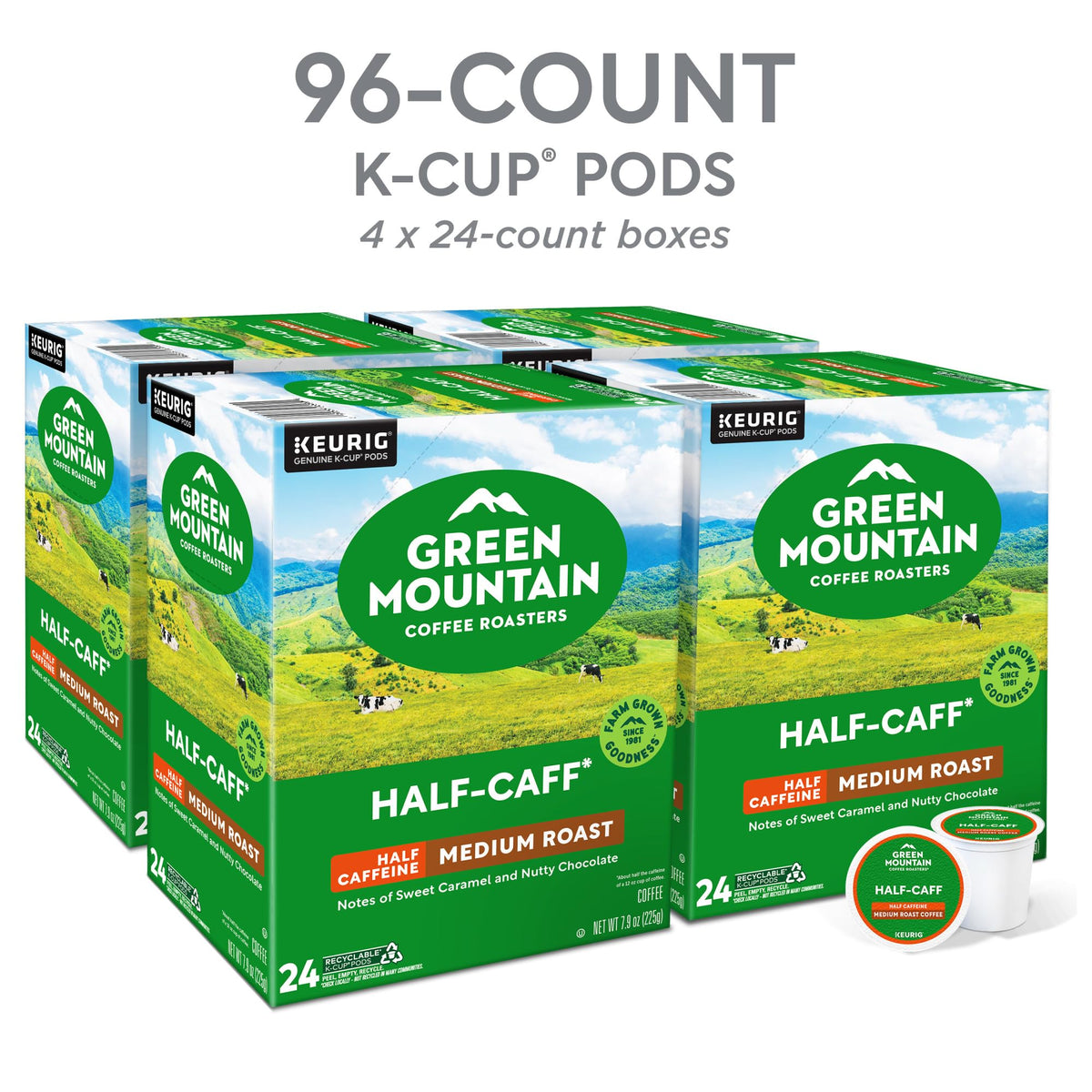Green Mountain Half Caff brew steaming cup showcasing chocolate and raisin notes.