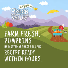 Green Valley Organics Pumpkin Ready-to-Enjoy image suggests quick, versatile pantry use.
